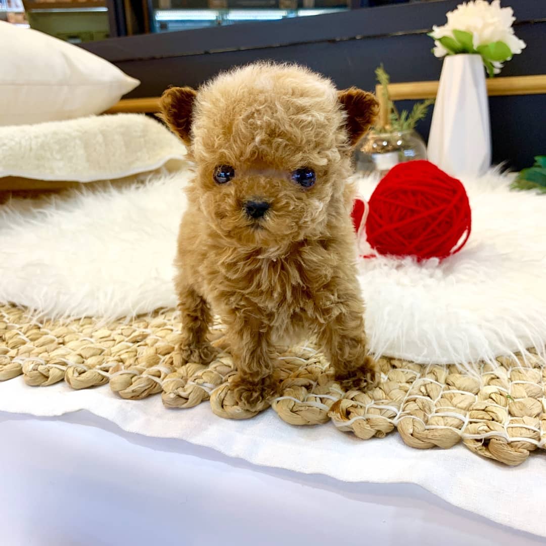 PHOTO-2021-05-05-12-44-03