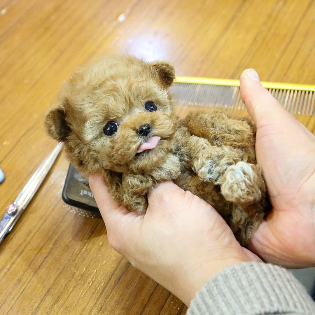 PHOTO-2021-05-05-12-55-29