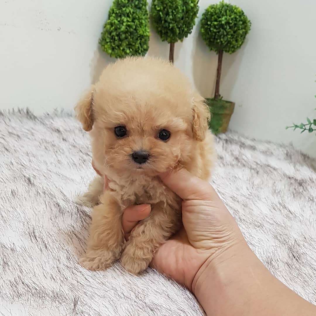 PHOTO-2021-05-07-17-26-20