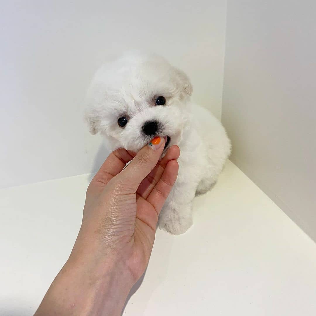 WhatsApp Image 2021-01-20 at 4.50.12 AM