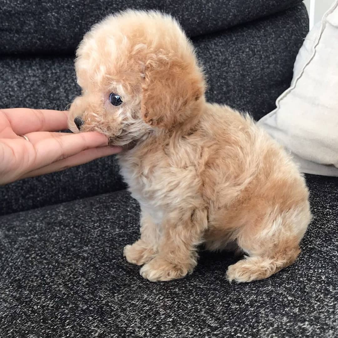 WhatsApp Image 2021-01-20 at 4.50.14 AM