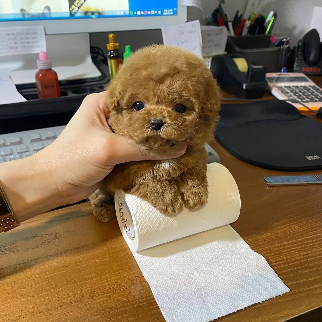 WhatsApp Image 2021-01-20 at 5.49.02 AM